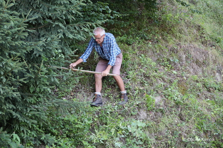 Košnja po starem (1)